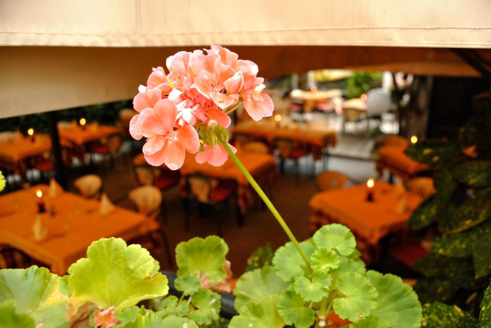 Hotel Fiorentino 2*